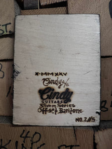 Cindy Guitars Guitar Series Photo-Print-on-Wood 35mm Double Exposure Offset Baritone No. 2/5